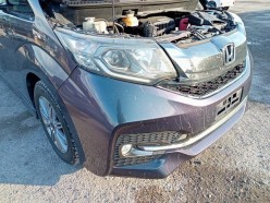 Honda Stepwagon SPADA SPECIAL EDITION COOL SPIRIT ADVANCE PACKAGE BETA 2016
